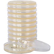 DG-18 Agar (Dichloran-Glycerol)