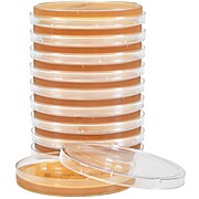 Malt Extract Agar with Chloramphenicol