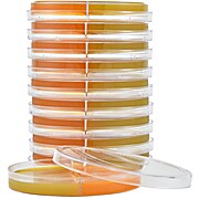 DermDuet™ Rapid Sporulation Medium (RSM)/Dermatophyte Test Medium (DTM)