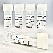 Proteinase K Solution