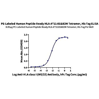 PE-Labeled Human Peptide Ready HLA-A*11:01&B2M Tetramer Protein (MHC-HM41RTP)