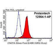 CNOT4 Rabbit Polyclonal Antibody (12564-1-AP)