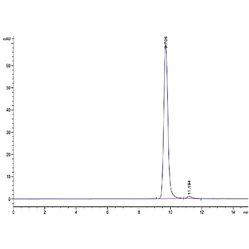 Human HLA-A*11:01&B2M&KRAS WT (VVVGAGGVGK) Monomer Protein (MHC-HE001)