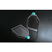 BioX Tissue Culture Flasks