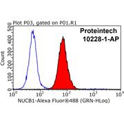 NUCB1 Rabbit Polyclonal Antibody (10228-1-AP)