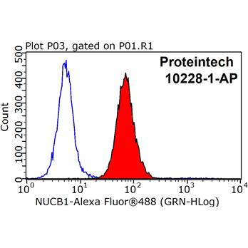 NUCB1 Rabbit Polyclonal Antibody (10228-1-AP)