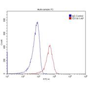 SNX6 Rabbit Polyclonal Antibody (10114-1-AP)