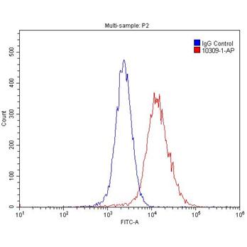 GPRC5A Rabbit Polyclonal Antibody (10309-1-AP)