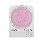 Compact Dry™ ETB, Enterobacteriaceae