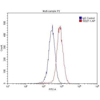 RAMP1 Rabbit Polyclonal Antibody (10327-1-AP)