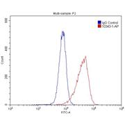 CD320 Rabbit Polyclonal Antibody (10343-1-AP)