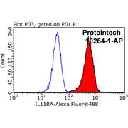 IL11RA Rabbit Polyclonal Antibody (10264-1-AP)