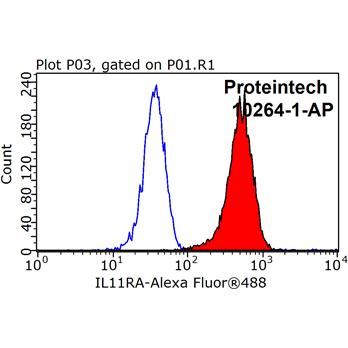 IL11RA Rabbit Polyclonal Antibody (10264-1-AP)