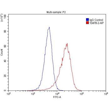 IRAK1 Rabbit Polyclonal Antibody (10478-2-AP)