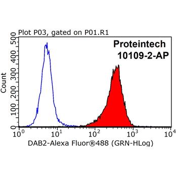 DAB2 Rabbit Polyclonal Antibody (10109-2-AP)