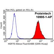 HSPA1A Rabbit Polyclonal Antibody (10995-1-AP)