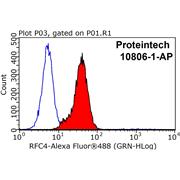 RFC4 Rabbit Polyclonal Antibody (10806-1-AP)