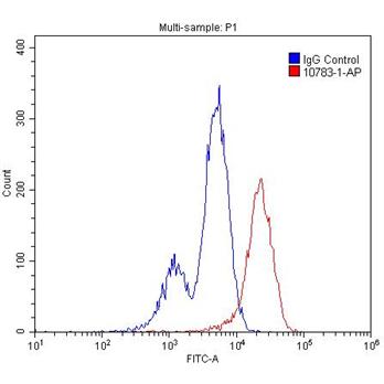BCL2L1 Rabbit Polyclonal Antibody (10783-1-AP)