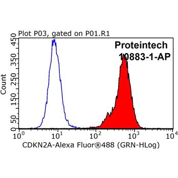CDKN2A Rabbit Polyclonal Antibody (10883-1-AP)