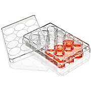 Diamond® SureGro™ Multiple Well Plates