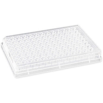 HTS Transwell®-96 Permeable Support with 0.4µm PET Membrane