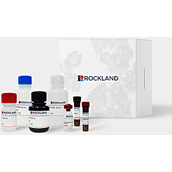 AccuSignal™ Nuclease ELISA Kit