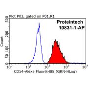 ICAM1 Rabbit Polyclonal Antibody (10831-1-AP)
