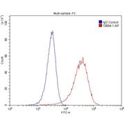 M6PRBP1 Rabbit Polyclonal Antibody (10694-1-AP)