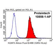 H2AFX Rabbit Polyclonal Antibody (10856-1-AP)