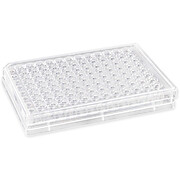 HTS Transwell®-96 Permeable Support