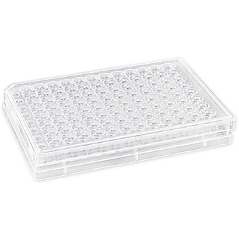 HTS Transwell®-96 Permeable Support