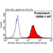 KRT6A Rabbit Polyclonal Antibody (10590-1-AP)