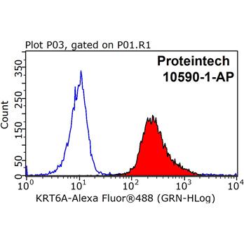 KRT6A Rabbit Polyclonal Antibody (10590-1-AP)
