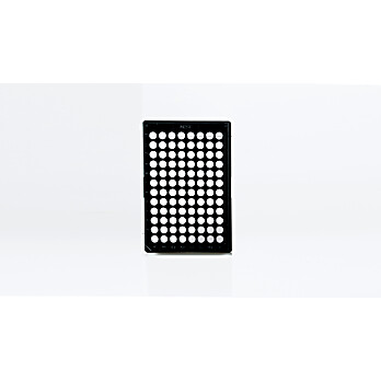 Black and White Well Clear Bottom Plates