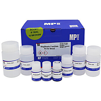 MagBeads FastDNA Kit for Blood