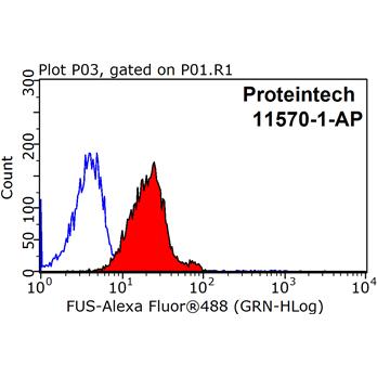 FUS Rabbit Polyclonal Antibody (11570-1-AP)