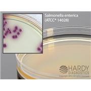 HardyCHROM™ Salmonella