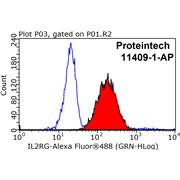 IL2RG Rabbit Polyclonal Antibody (11409-1-AP)