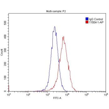 CCNE1 Rabbit Polyclonal Antibody (11554-1-AP)
