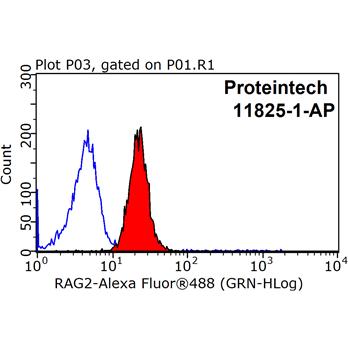 RAG2 Rabbit Polyclonal Antibody (11825-1-AP)