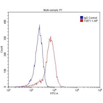 SH2D1B Rabbit Polyclonal Antibody (11871-1-AP)