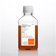 Fetal Bovine Serum (FBS), Dialyzed