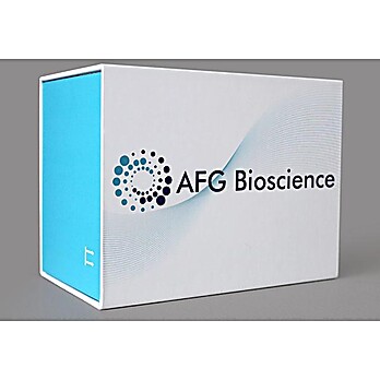 Mouse CNTF(Ciliary Neurotrophic Factor) ELISA Kit