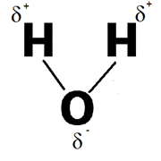Water, HPLC