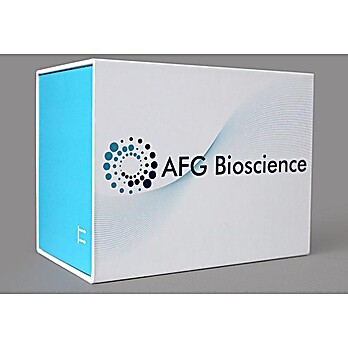 Rat ADAM9(A Disintegrin And Metalloprotease 9) ELISA Kit