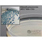 HardyCHROM™ CRE Agar