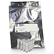 Escherichia coli WDCM 00012 Vitroids™