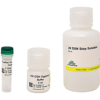 PureRec Duplex-Specific Nuclease (DSN) 