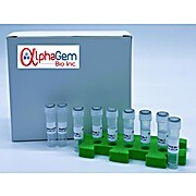 2x Taq PCR Mix