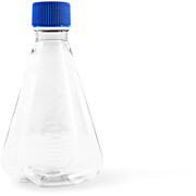 Erlenmeyer Flasks